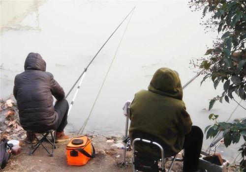 钓鱼爆料视频最新大全集,揭秘钓鱼高手们的实战技巧与经验分享